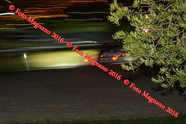 DSC_8174.JPG
